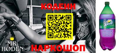 индика Заводоуковск