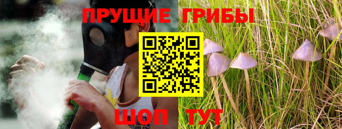 Можга  Псилоцибиновые грибы Psilocybe  Вход с VPN  Галлюциногенные грибы Psilocybine cubensis 