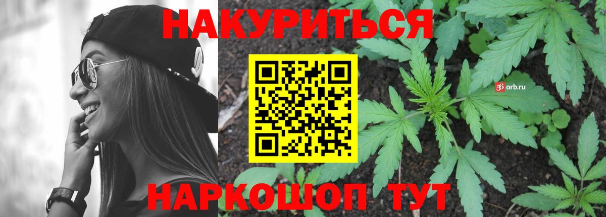 Канабис сатива  Вход с VPN  Можга  Бошки Шишки марихуана 